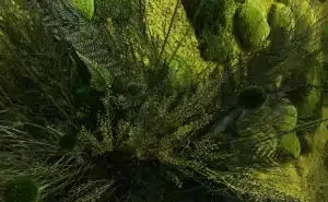zeleni zidovi enterijer